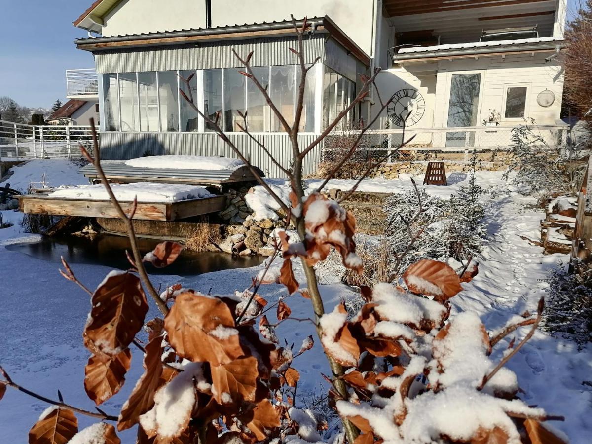 Atypique Dans Ancienne Serre * Orchamps-Vennes