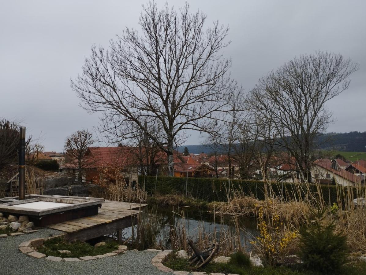 Atypique Dans Ancienne Serre Hébergement de vacances Orchamps-Vennes